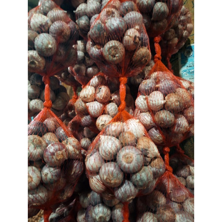 

BAWANG PUTIH TUNGGAL KECIL