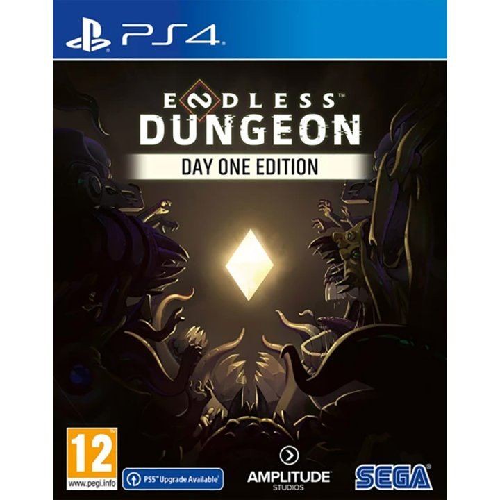 PS4 Endless Dungeon