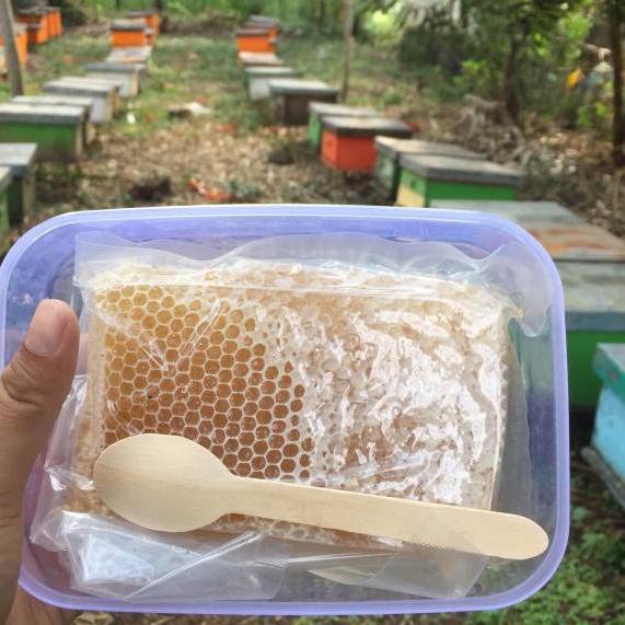 

Sale✔️✔️[500GR] SARANG MADU MELIFERA ASLI / MADU SARANG HONEYCOMB