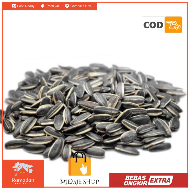 

Kuaci Biji Bunga Matahari 500GRAM - Sunflower Seed -seperti kwaci rebo - Original Manis