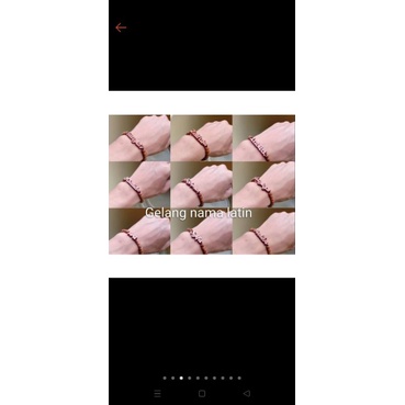 gelang kaukah nama arab dan nama latin