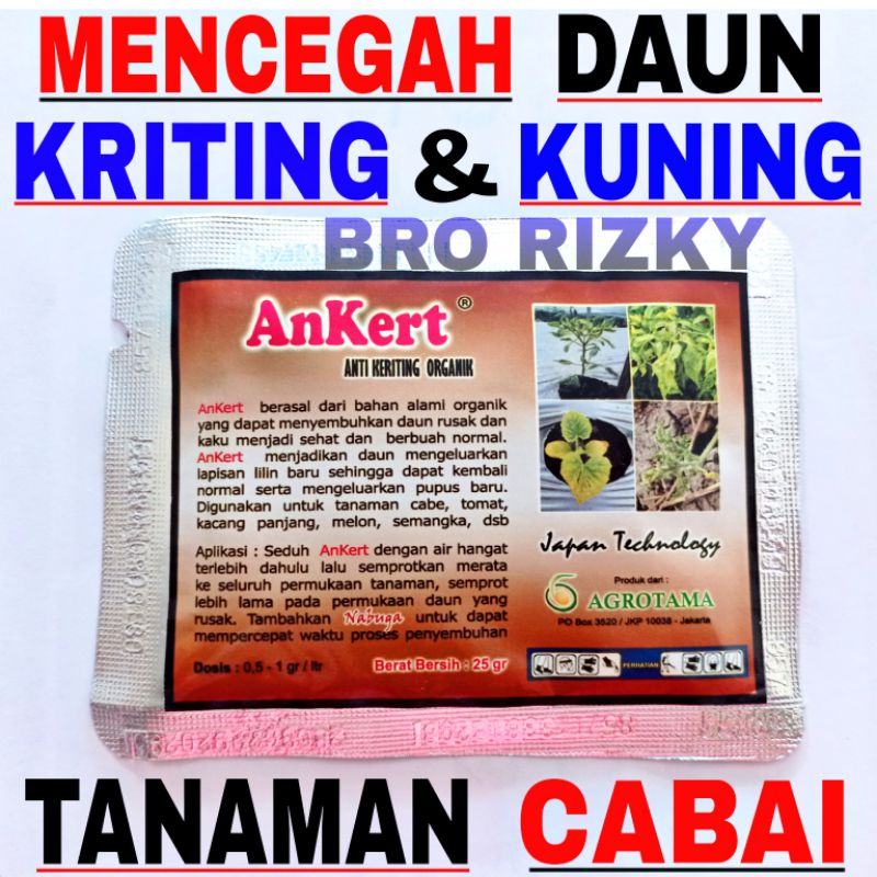 Ankert - PENCEGAH DAUN KRITING PADA TANAMAN CABE