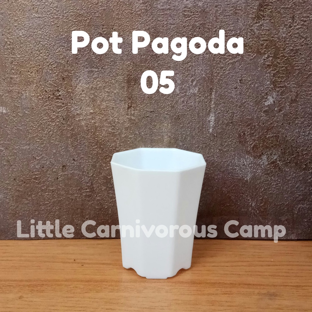 Pot pagoda kecil 05 putih coklat pot mini kaktus sukulen platik tebal original nkt pembibitan pot 5 