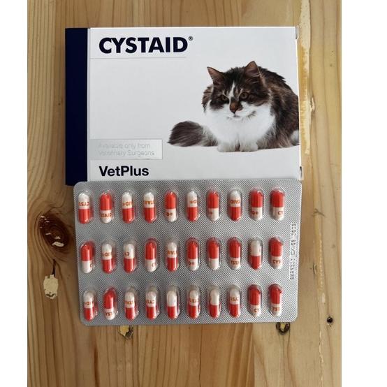 Terlaku... Cystaid Plus Cat - HARGA PER CAPSUL
