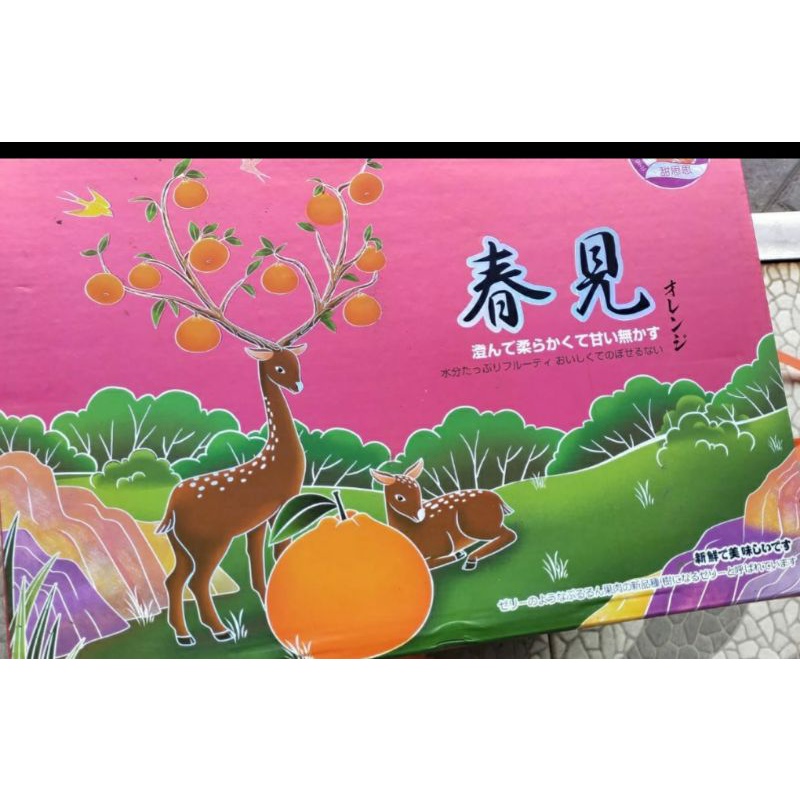 

jeruk dekopon/papagan gift box