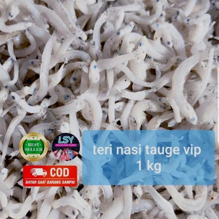 

۩ ikan asin tn tauge vip / teri nasi size jumbo 1kg ♤