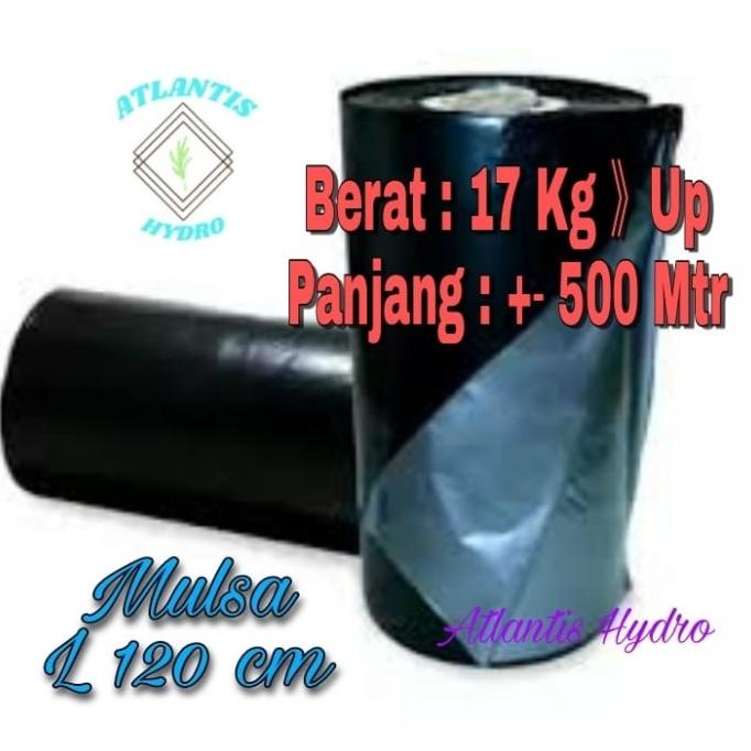 Plastik Mulsa Lebar 1,2 M Panjang 500 M ( 1 Roll ) MURAH 