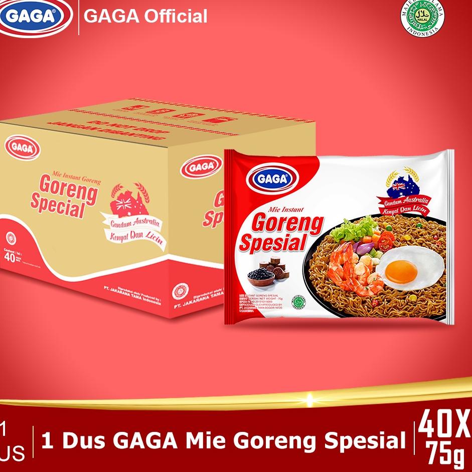 

☈ Gaga Mie Goreng Spesial ( 1 KTN) ♡