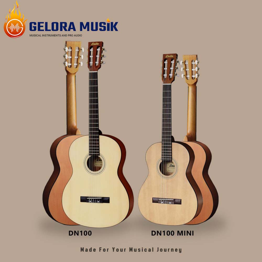 Gitar Akustik Delta DN100