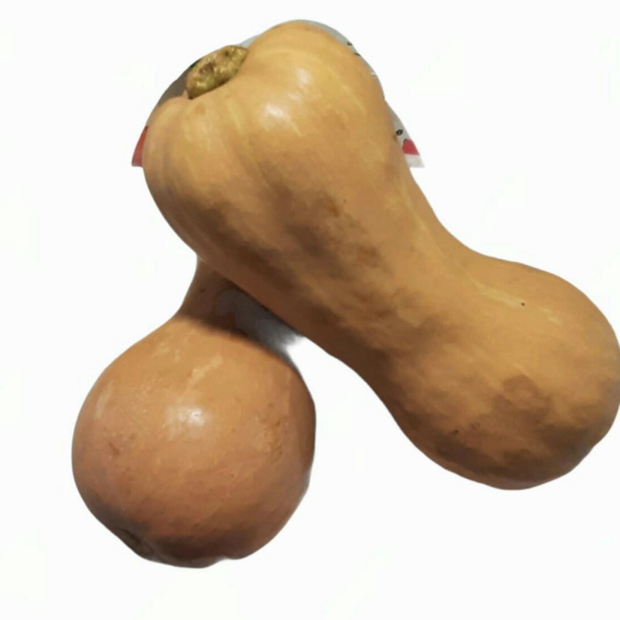 

butternut pumpkin/labu madu
