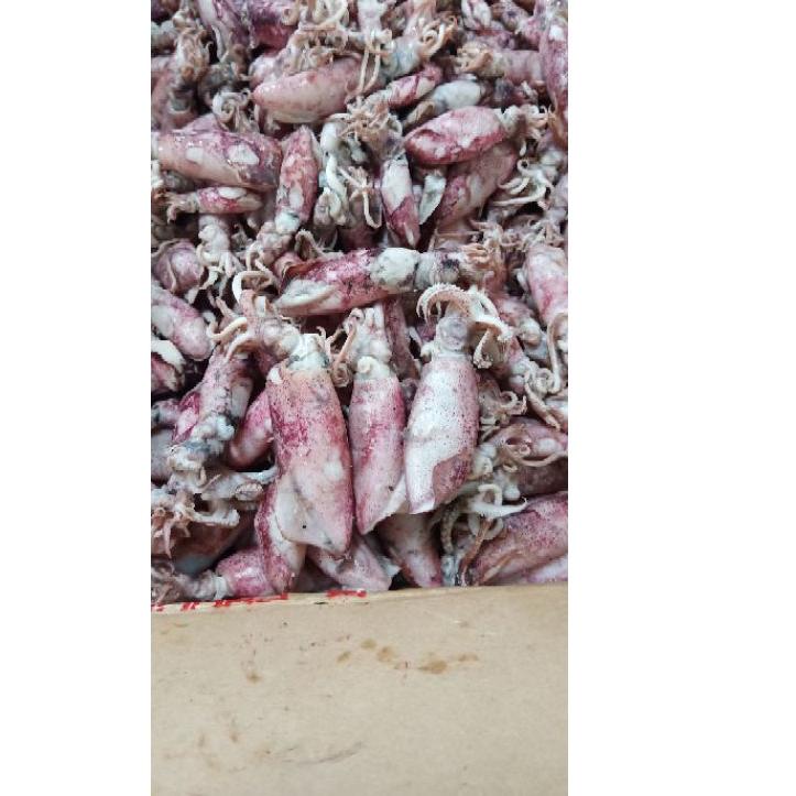 

➧ Cumi asin 1kg Termurah/cumi asin rebus/ikan asin cumi ➪