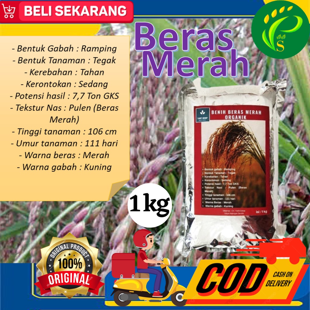 Biji Padi Unggul Padi Merah / Beras Merah 1KG