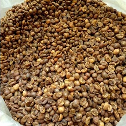 

GREEN BEAN WINE ROBUSTA LAMPUNG 1 KG