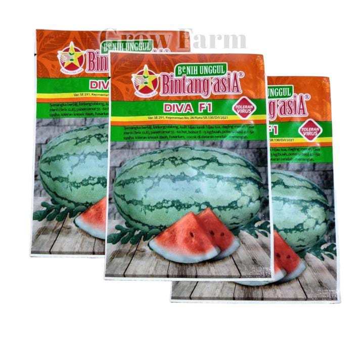 Benih Bibit Semangka Diva F1 20gr Semangka Inul Lonjong Bintang Asia