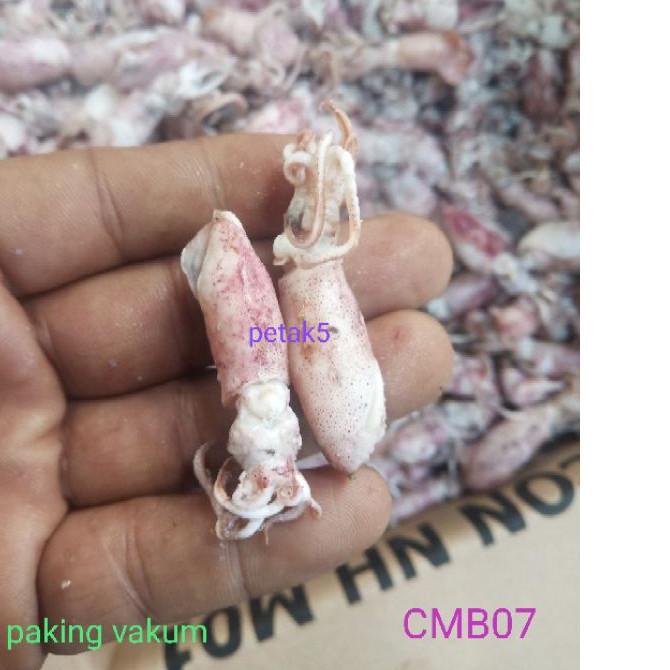 

◊ Cumi asin beby 1kg/ cumi asin baby/cumi asin rebus/cumi asin kecil ➢