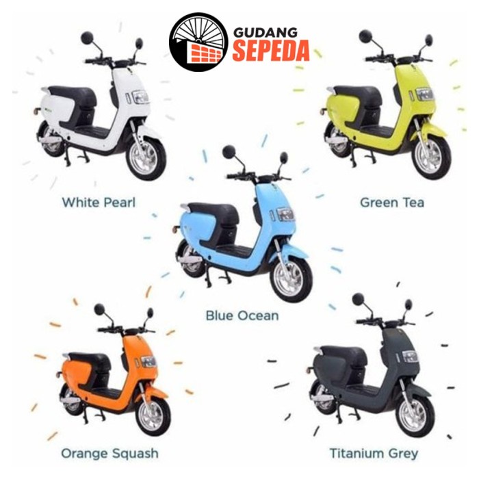 Terlaris Sepeda Motor Listrik Ecgo Bike 2 Vin Stnk Off The Road / On The Road