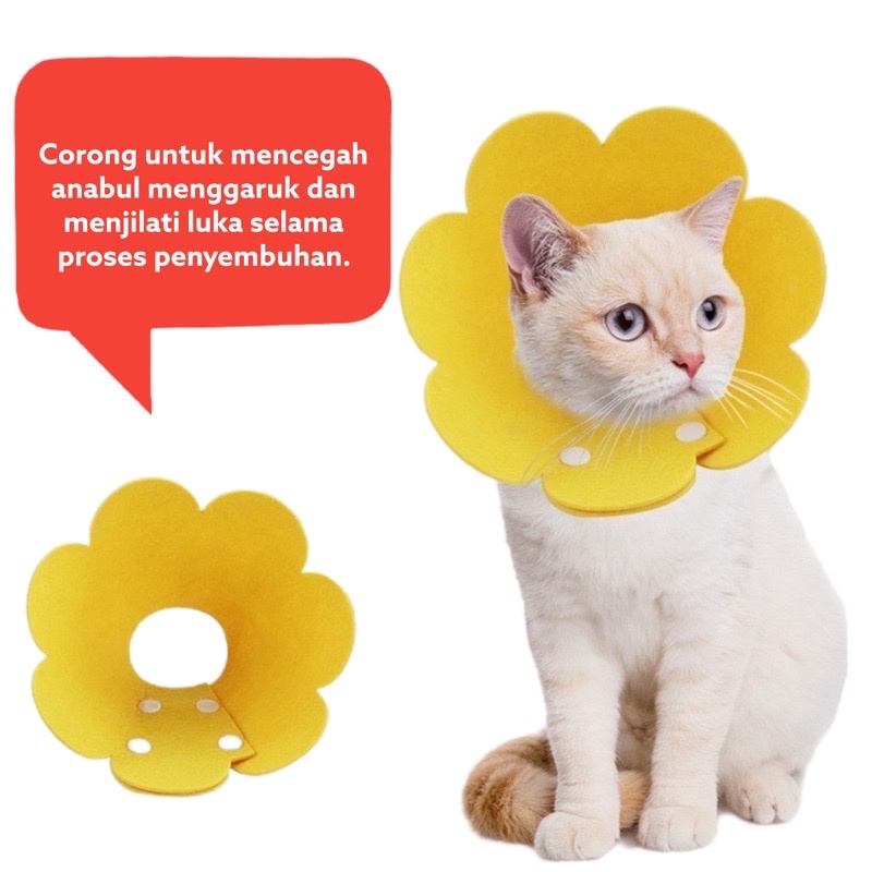 MATAHARI CONE - Corong Cone Penutup Pelinding Leher Kucing Anjing Kelinci Bentuk Bunga Matahari