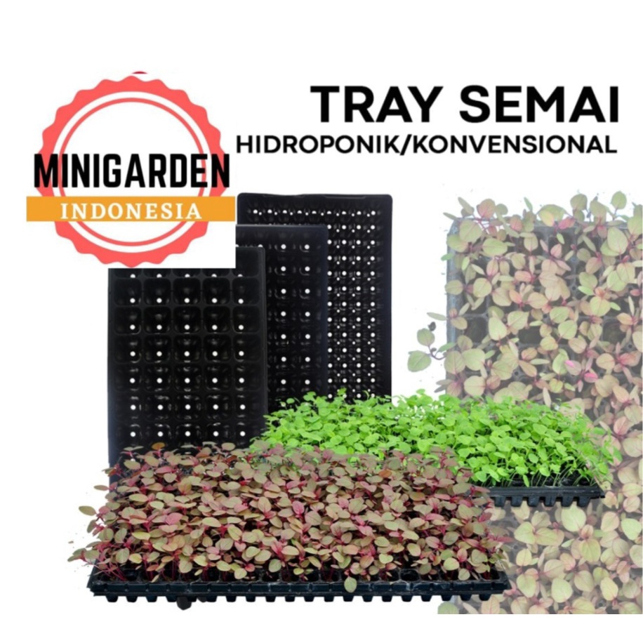 TRAY SEMAI BIBIT seeding tray pot hidroponik penyemaian KHUSUS GOJEK