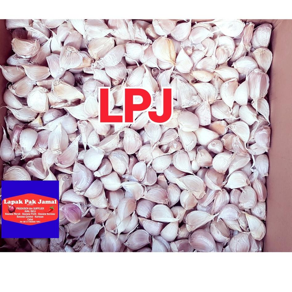 

✨Original✨ Bawang PUTIH KATING - 1 Kg - LPJ murah