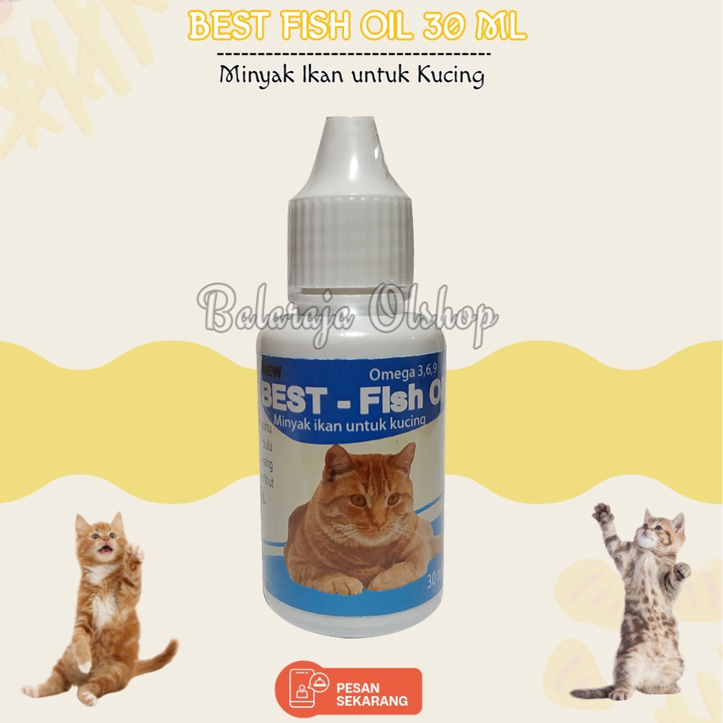 Vitamin Kucing Penumbuh Bulu Penambah Nafsu Makan Dan Penggemuk Badan Kucing Kitten Best Fish Oil