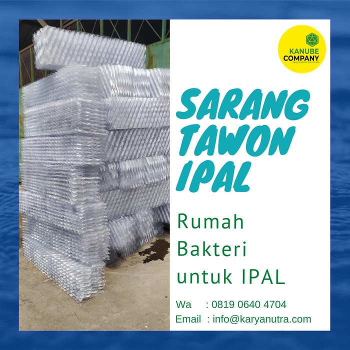 Terlaris Sarang Tawon/ Honeycomb Untuk Ipal