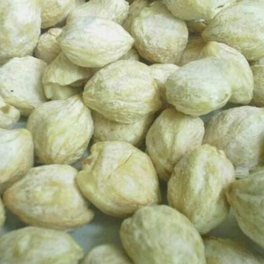 

♙ Kemiri bulat 1 kilogram ♟