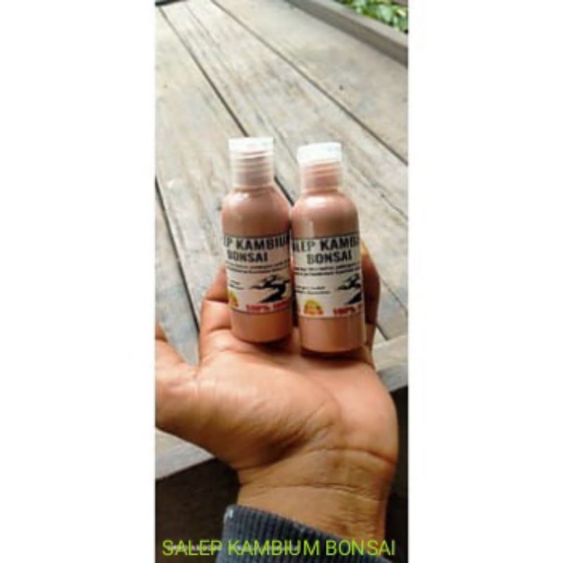 Salep kambium bonsai original 60ml