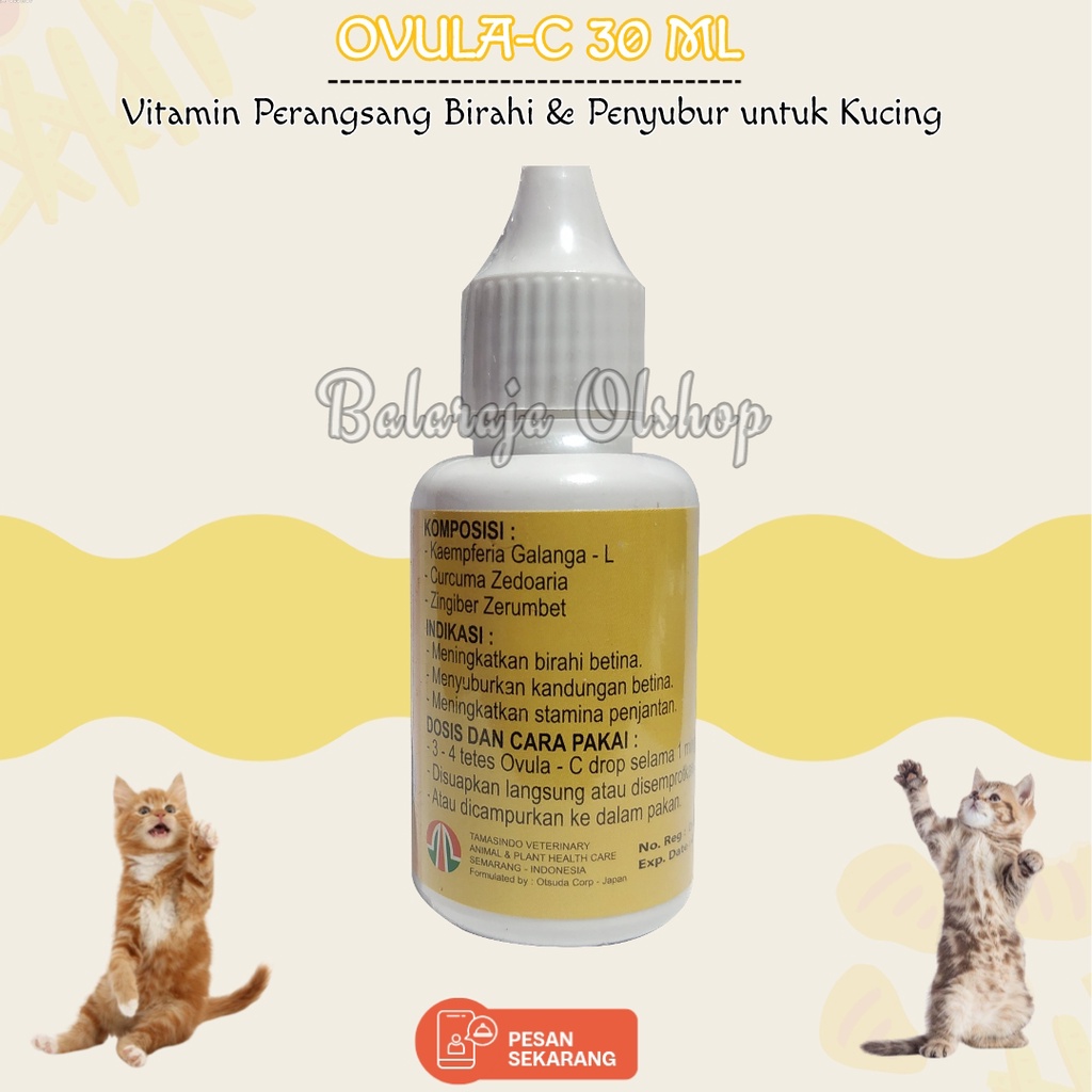 Vitamin Perangsang Birahi dan Penyubur Kucing Vitamin Kucing Susah Kawin - Ovula CAT