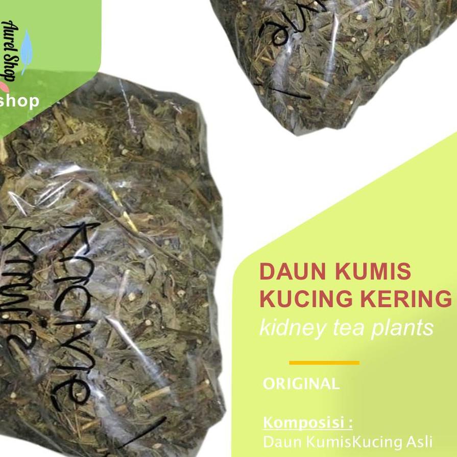 

Daun Kumis Kucing Kering 1 kg Remujung Java Tea (Kidney Tea Plants Leaf) - Terbaru