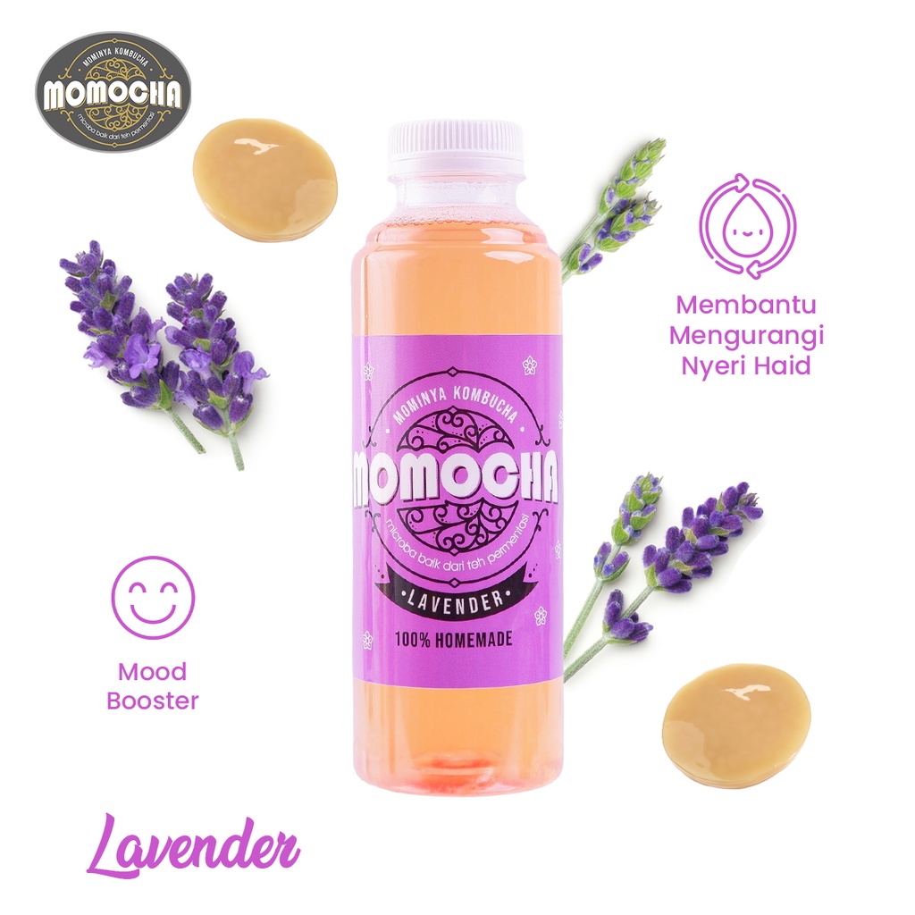 

MOMOCHA - Kombucha Lavender Homemade 250ml