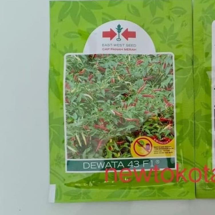12.12 FLASH SALE Benih cabe rawit DEWATA 43 F1 2250 butir cabai dewata 43 f1 hibrida rawit putih pan