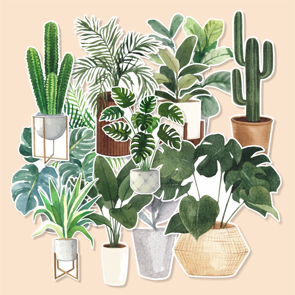 

( 20 pcs )stiker satuan random murah PLANT-watercolor