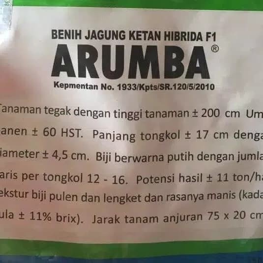 Benih / bibit Jagung putih pulut manis ARUMBA