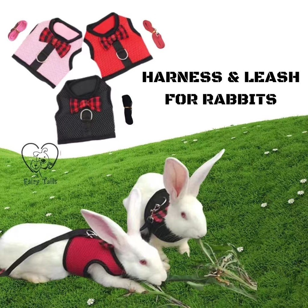 Harness dan Tali Tuntun Kelinci Adjustable Untuk Outing Aktivitas Outdoor Model Rompi / Soft Breathable Harness and Adjustable Leash for Rabbits