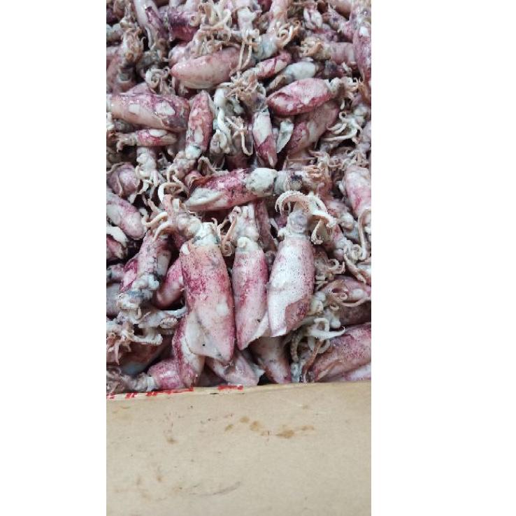

➣ Cumi asin 1kg Termurah/cumi asin rebus/ikan asin cumi ✮