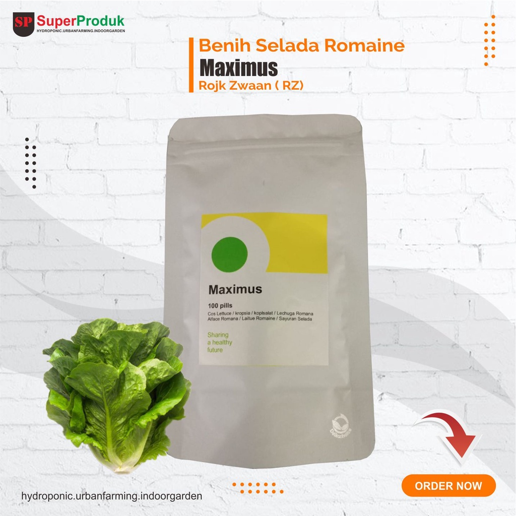 benih romaine maximus rz 100 pills