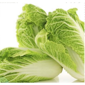 Benih / Bibit / Biji - Sawi Putih (Chinese Cabbage) F1 Hibrida