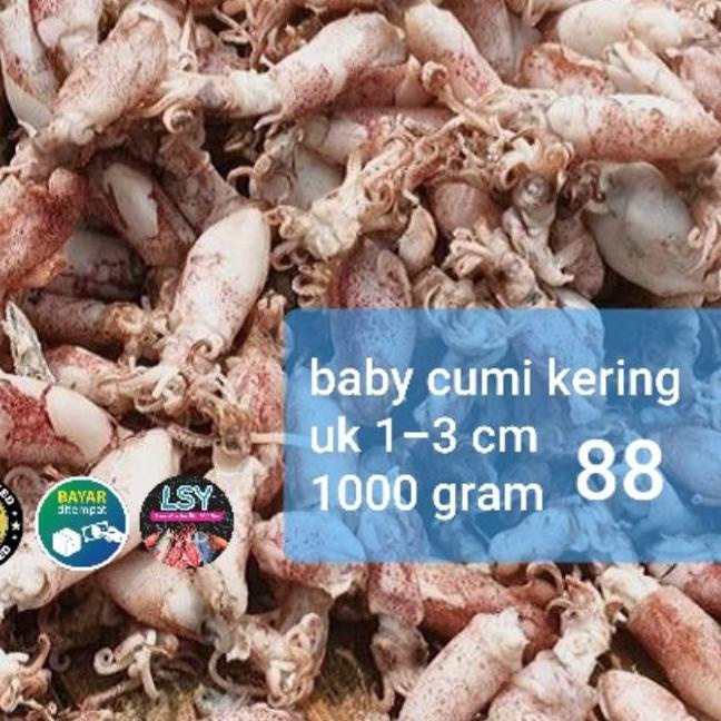 

♖ ikan asin baby cumi / cumi rebus kering 88 berat 1kg ✯