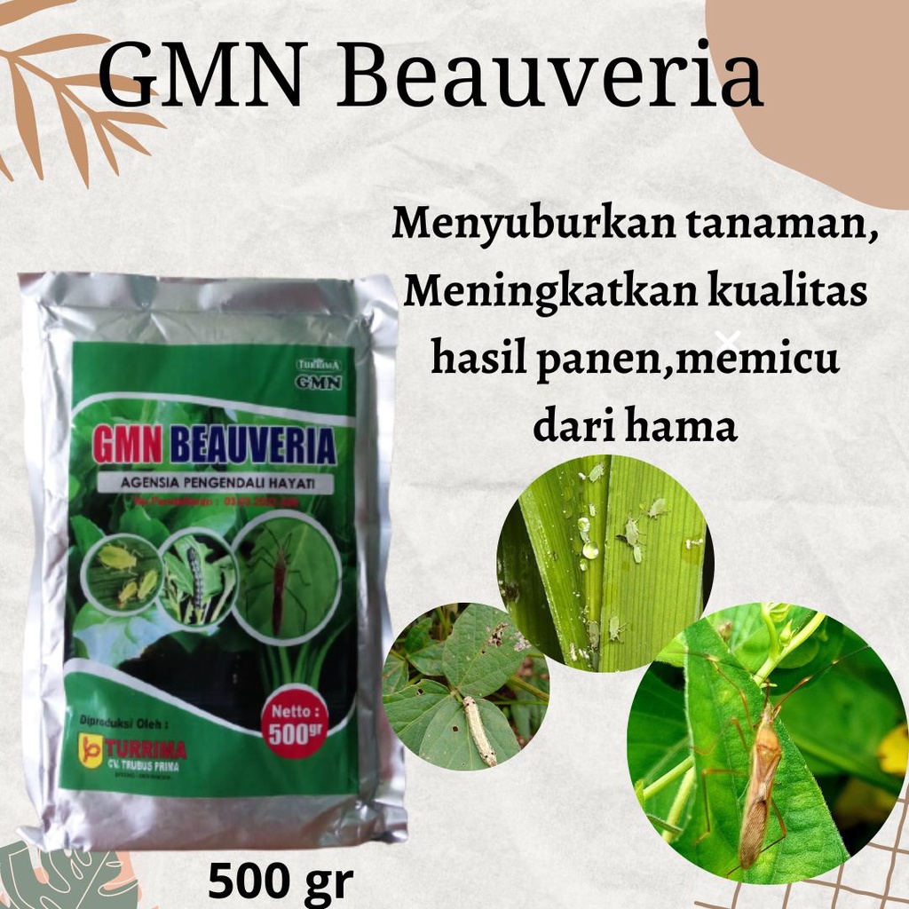 GMN BEAUVERIA,Pupuk Hama Cabe, Pupuk Hama Daun 500 ML