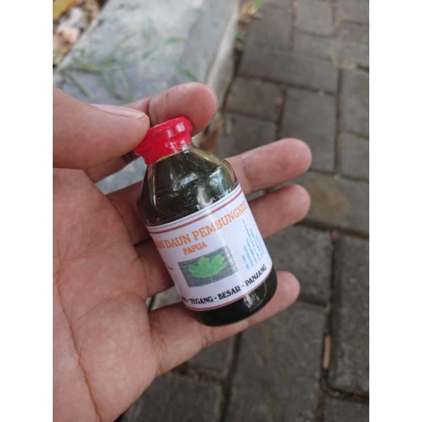 daun bungkus asli papua