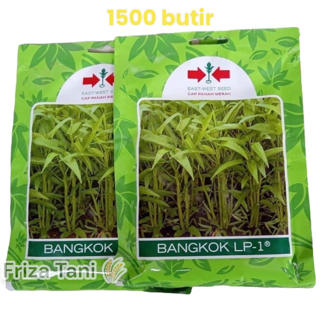 Benih Bibit Kangkung Bangkok LP-1 Panah Merah 1500 butir PT. East West Seed Indonesia