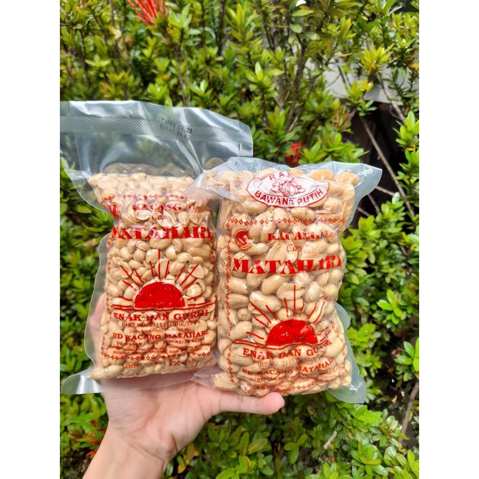 

Kacang Bali Matahari