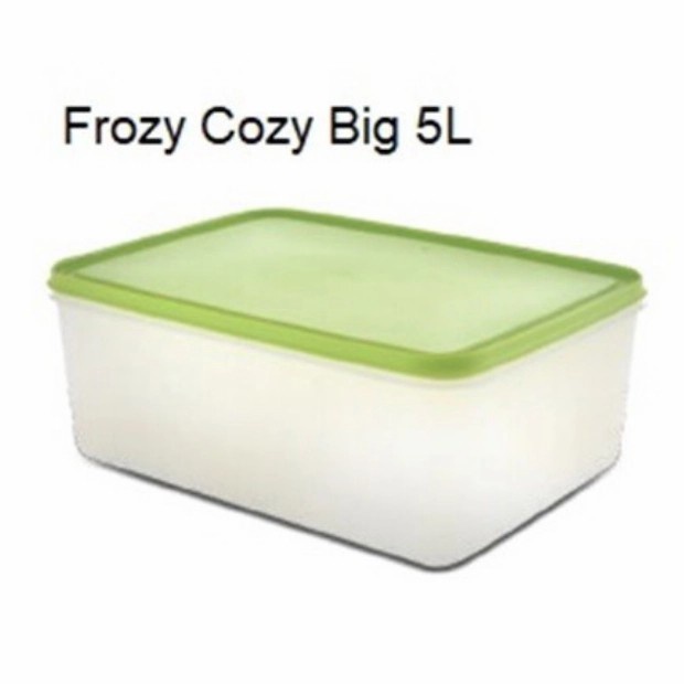 Terlaris Tupperware Original Frozy Cozy Big 5L Wadah Penyimpanan Freezer