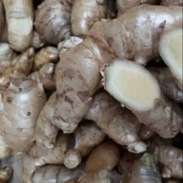 

KUNYIT PUTIH SEGAR 1KG TEMU PUTIH CURCUMA ZEDOARIA