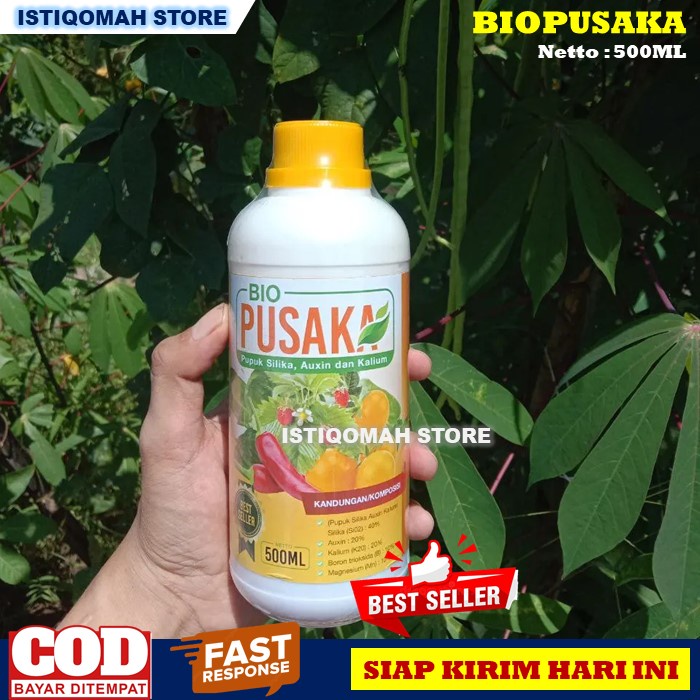 PUPUK OBAT PADI KRESEK DAUN BIO PUSAKA 500ML Obat Pencegah Penyakit Kresek Daun Padi Paling Ampuh - Obat Alami Penyakit Kresek Pada Tanaman Padi - Obat Untuk Mengatasi Kresek Pada Tanaman Padi yang Bagus dan Manjur