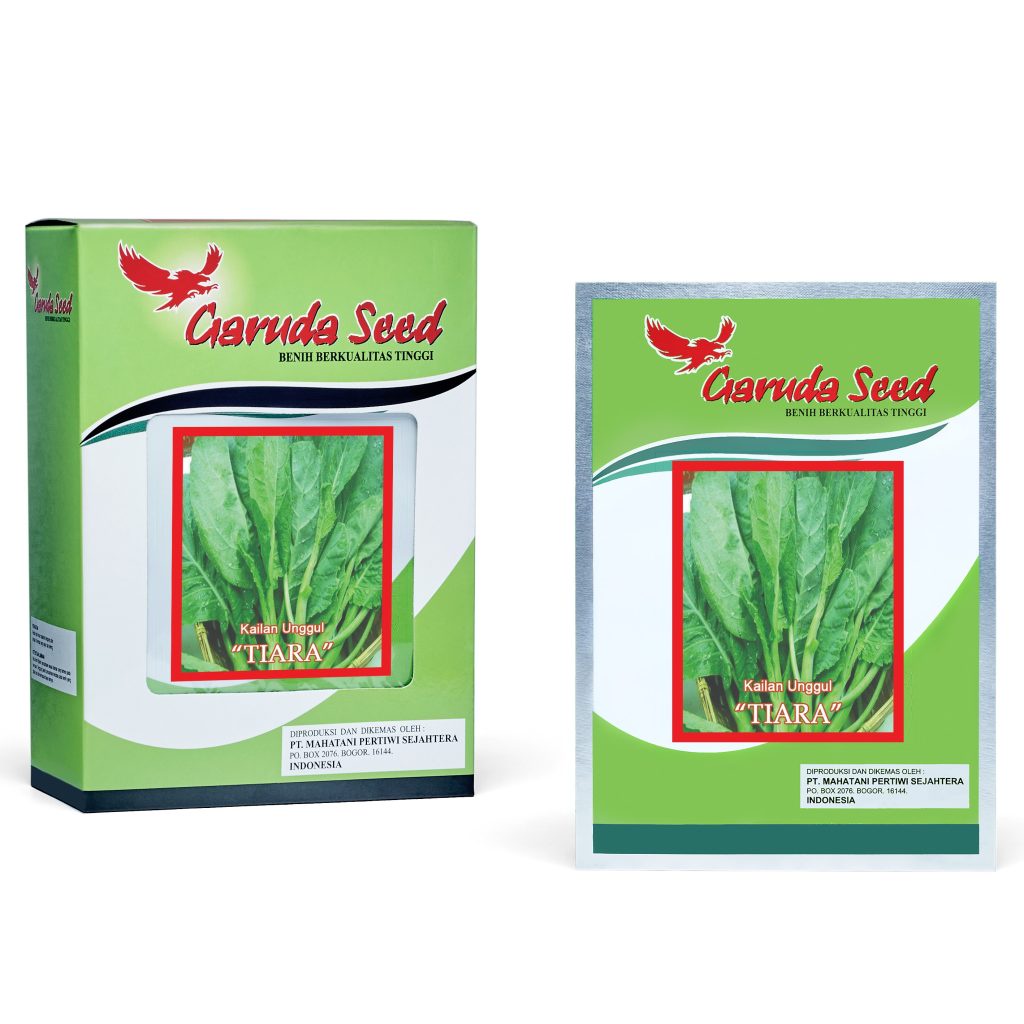 (1 PACK) Benih Kailan Hijau Unggul TIARA Seeds - Garuda Seed - 5 GRAM