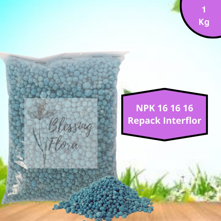 NPK 16 16 16 Repack 1Kg Interflor