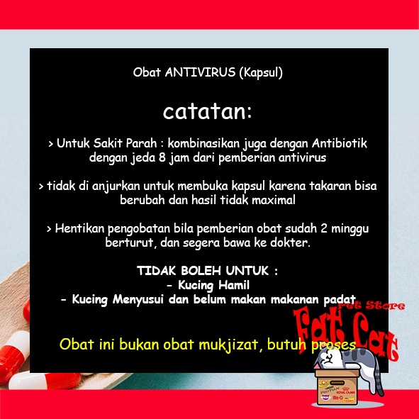 RESELLER Obat Antivirus Kucing - Obat Virus kucing kapsul