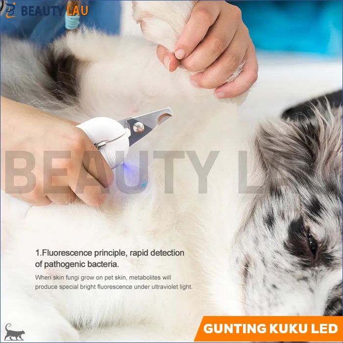 GUNTING KUKU KUCING ANJING PREMIUM + LED LIGHT + KIKIR KUKU KUCING PET NAIL CLIPPER PEMOTONG KUKU KUCING