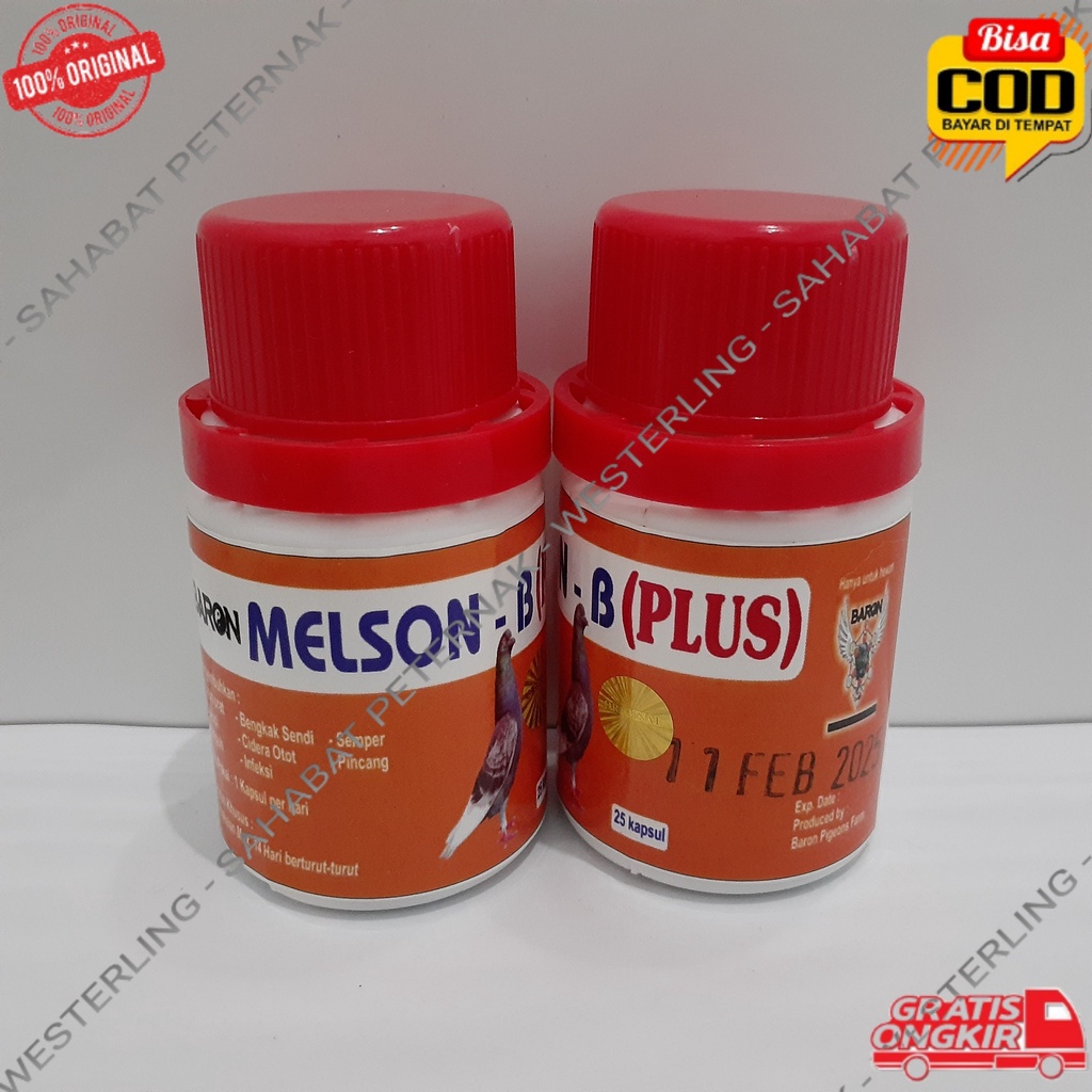 BARON MELSON B PLUS OBAT MERPATI CIDERA LUMPUH SEMPER TURUN URAT